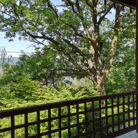 펜션 6 Bedroom Amazing In