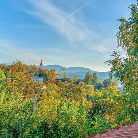 6 Bedroom Amazing In Mucharz